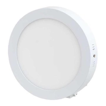 LED plafonsko svetlo LED/12W/230V