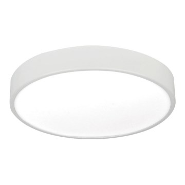 LED plafonsko svetlo LED/12W/230V