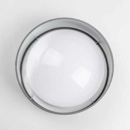 LED plafonsko svetlo LED/12W/230V Ø 32 cm siva/srebrna