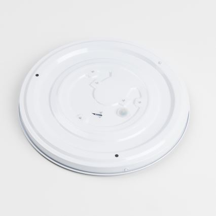 LED plafonsko svetlo LED/12W/230V Ø 32 cm siva/srebrna