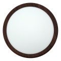 LED plafonsko svetlo LED/18W/230V 3000/4000/6500K prečnik 23 cm braon
