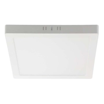 LED plafonsko svetlo LED/18W/230V 4000K 21,4x,21,4 cm bela