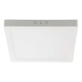 LED plafonsko svetlo LED/18W/230V 6500K 21,4x21,4 cm belo