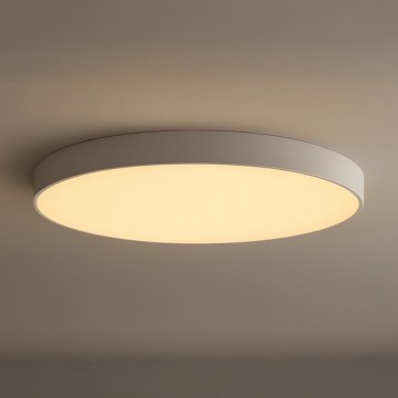 LED Plafonsko svetlo LED/200W/230V 3000/4000/6500K prečnika 100 cm bela