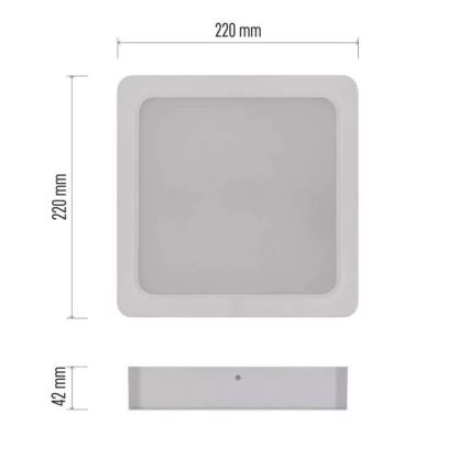 LED plafonsko svetlo LED/24W/230V 22x22 cm belo