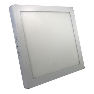 LED plafonsko svetlo LED/24W/230V 3000K