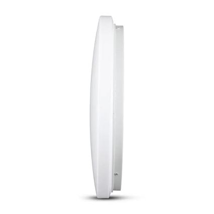 LED plafonsko svetlo LED/24W/230V 35cm 3000K/4000K/6400K