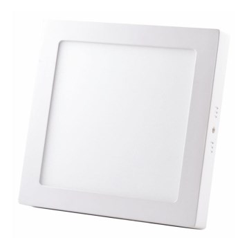 LED Plafonsko svetlo LED/24W/230V 4000K