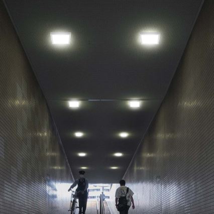 LED plafonsko svetlo LED/24W/230V 6500K 28,7x28,7 cm bela