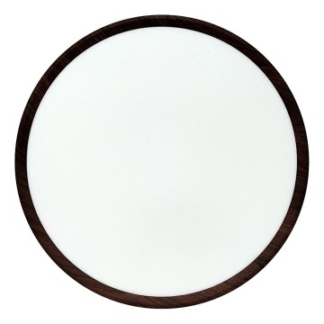 LED plafonsko svetlo LED/32W/230V 3000/4000/6500K prečnik 40 cm braon