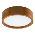 LED plafonsko svetlo LED/35W/230V