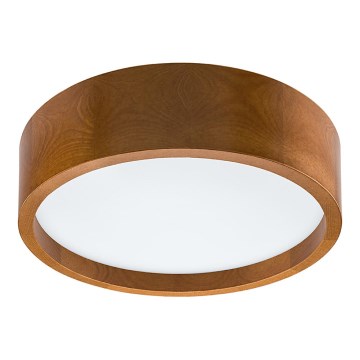 LED plafonsko svetlo LED/35W/230V