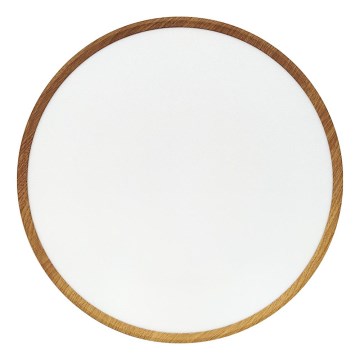LED plafonsko svetlo LED/40W/230V 3000/4000/6500K, prečnik 50 cm, bež