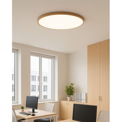 LED plafonsko svetlo LED/40W/230V 3000/4000/6500K, prečnik 50 cm, bež
