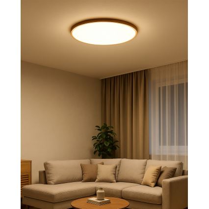 LED plafonsko svetlo LED/40W/230V 3000/4000/6500K, prečnik 50 cm, bež