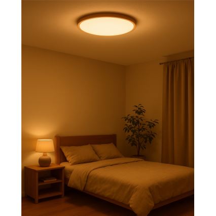 LED plafonsko svetlo LED/40W/230V 3000/4000/6500K, prečnik 50 cm, bež