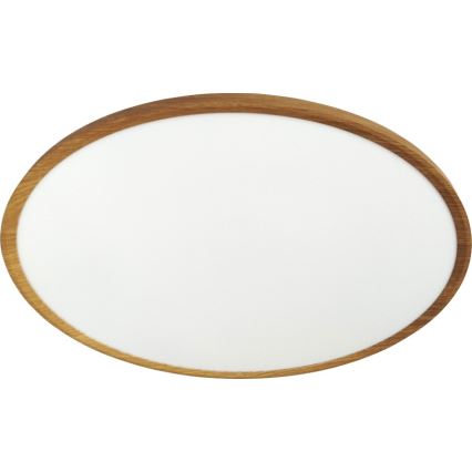 LED plafonsko svetlo LED/40W/230V 3000/4000/6500K, prečnik 50 cm, bež