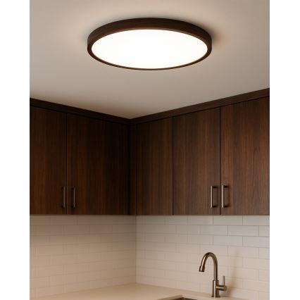 LED plafonsko svetlo LED/40W/230V 3000/4000/6500K prečnik 50 cm braon
