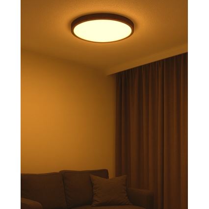 LED plafonsko svetlo LED/40W/230V 3000/4000/6500K prečnik 50 cm braon