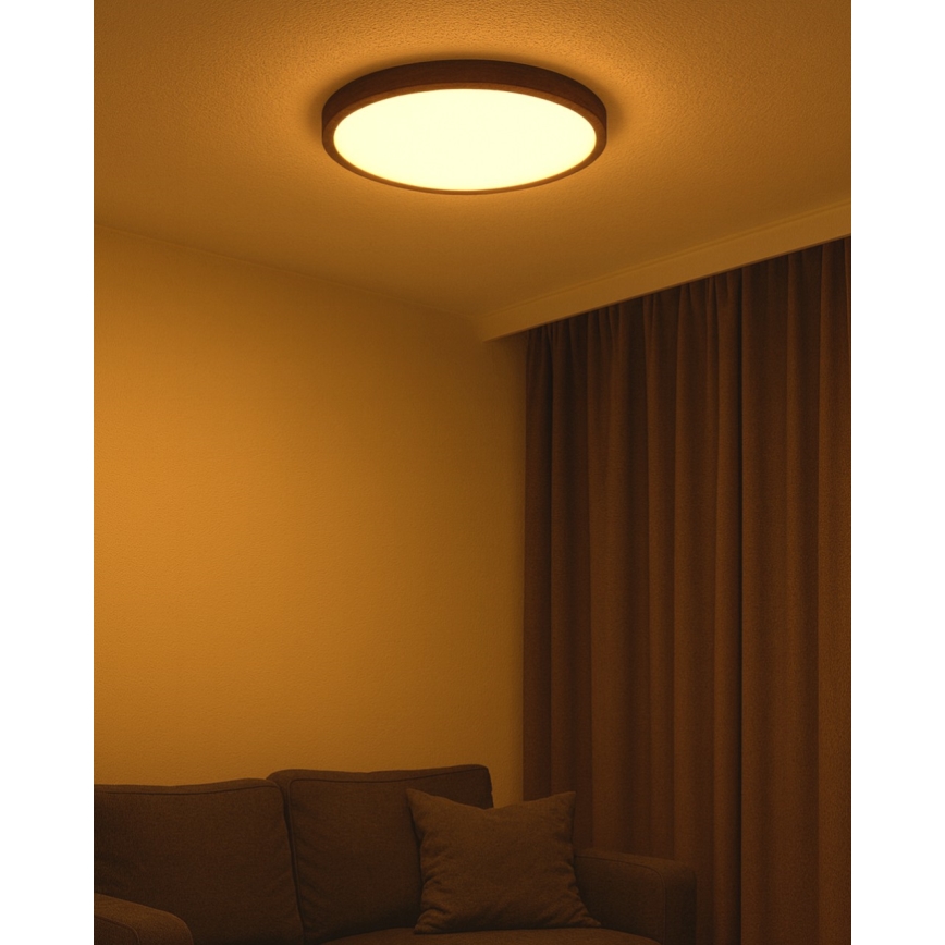 LED plafonsko svetlo LED/40W/230V 3000/4000/6500K prečnik 50 cm braon