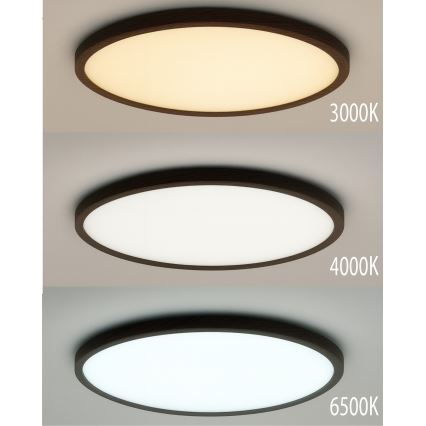 LED plafonsko svetlo LED/40W/230V 3000/4000/6500K prečnik 50 cm braon
