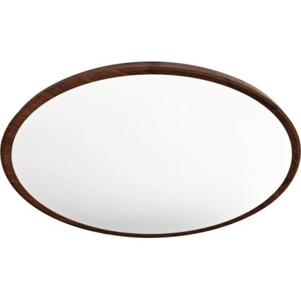 LED plafonsko svetlo LED/40W/230V 3000/4000/6500K prečnik 50 cm braon