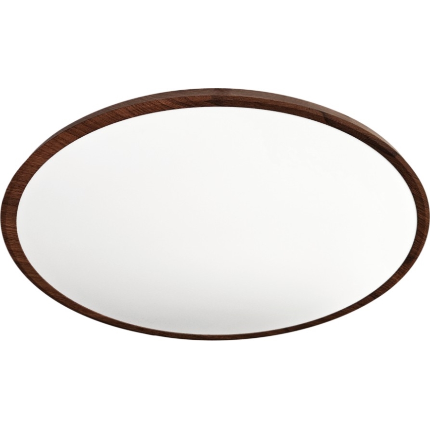 LED plafonsko svetlo LED/40W/230V 3000/4000/6500K prečnik 50 cm braon