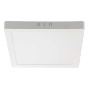 LED plafonsko svetlo LED/6W/230V 6500K 12x12 cm bela
