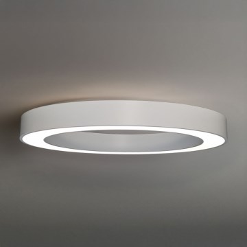 LED plafonsko svetlo LED/80W/230V 3000/4000/6500K, prečnik 80 cm, belo