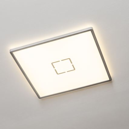 LED plafonsko svetlo LENNA LED/22W/230V 4000K
