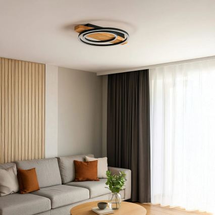LED plafonsko svetlo MELISA LED/28W/230V 30x40 cm borovina