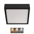 LED Plafonsko svetlo NEXXO LED/12,5W/230V 3000/3500/4000K 17x17 cm crna