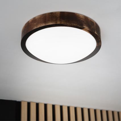 LED plafonsko svetlo OAK SMOKY SLIM LED/20W/230V 4000K prečnik 27 cm hrast/tamno braon