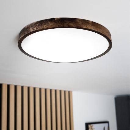 LED plafonsko svetlo OAK SMOKY SLIM LED/36W/230V 4000K prečnik 47 cm hrast/tamno braon