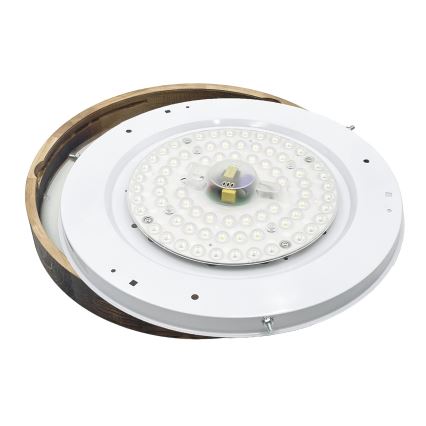 LED plafonsko svetlo OAK SMOKY SLIM LED/36W/230V 4000K prečnik 47 cm hrast/tamno braon