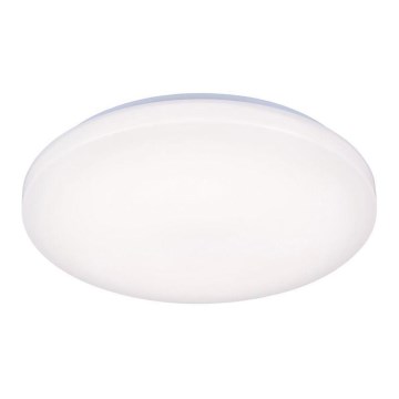 LED plafonsko svetlo OPAL LED/50W/176-264V