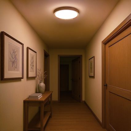 LED plafonsko svetlo ORINOKO LED/36W/230V prečnik 48 cm bež