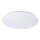 LED plafonsko svetlo PLAIN LED/15W/230V 4000K okruglo