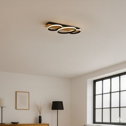 LED plafonsko svetlo ROWENA LED/18W/230V crna/braon
