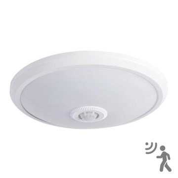 LED plafonsko svetlo sa senzorom LED/14W/230V 4000K