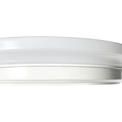 LED plafonsko svetlo sa senzorom OPAL LED/12W/230V 4000K