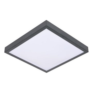 LED plafonsko svetlo sa senzorom VITALI LED/24W/230V 4000K
