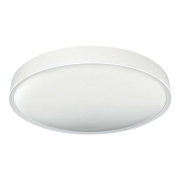 LED plafonsko svetlo SAMER LED/24W/230V 4000K