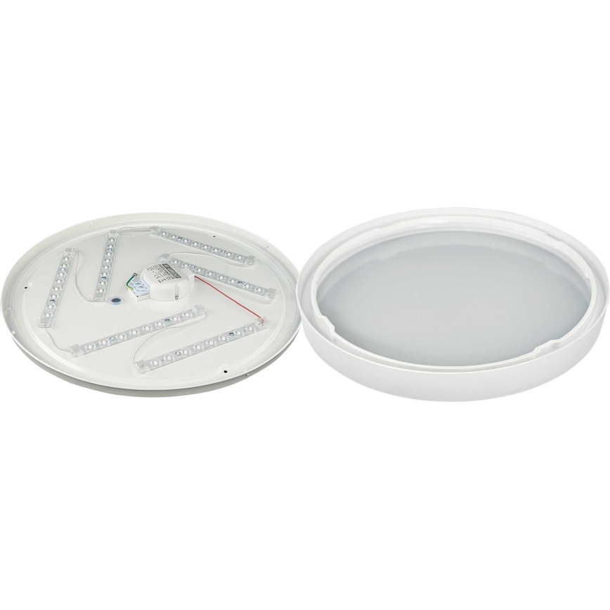 LED plafonsko svetlo SAMER LED/32W/230V 4000K