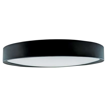 LED plafonsko svetlo SAMER LED/40W/230V 4000K