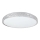 LED plafonsko svetlo SHINY LED/34W/230V prozirno