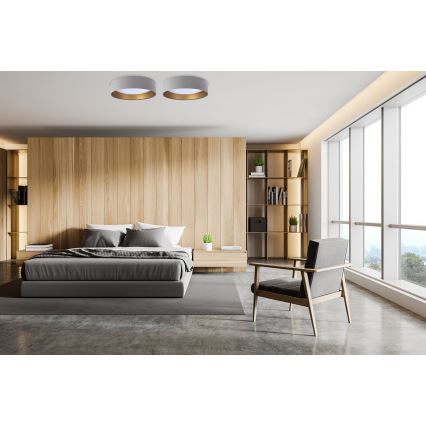 LED prigušiva plafonsko svetlo SMART GALAXY LED/36W/230V prečnik 55 cm 2700-6500K Wi-Fi Tuya sivo/zlatno + daljinski upravljač