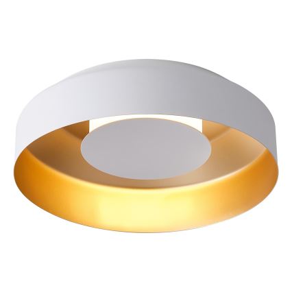 LED Plafonsko svetlo STIGMA LED/20W/230V 3000K belo