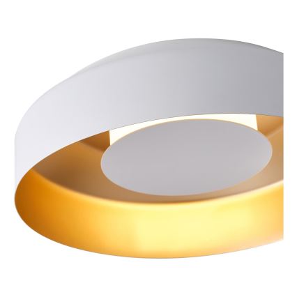 LED Plafonsko svetlo STIGMA LED/20W/230V 3000K belo