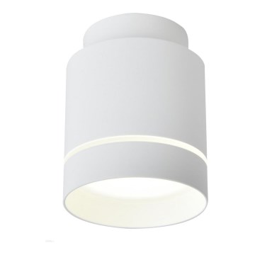 LED plafonsko svetlo TUBA LED/12W/230V